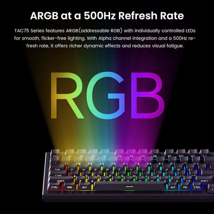 Teclado Gamer Akko TAC75 HE RGB 75% | Hall Effect | Rapid Trigger | Hot Swap